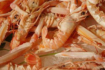 Gruppo di scampi sul bancone del pesce