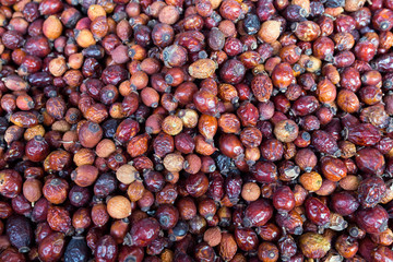 Dried jujube fruits