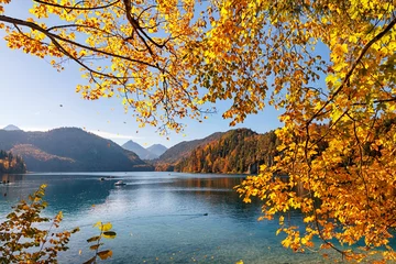 Vlies Fototapete Herbst Falling leaves from multicolores trees at sunny autumn day on Alpsee lake in Bavaria, Germany.