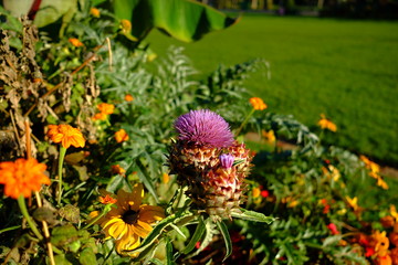 Jardin d'automne à Paris, France