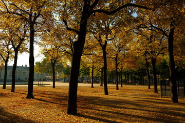 Automne à Paris, France