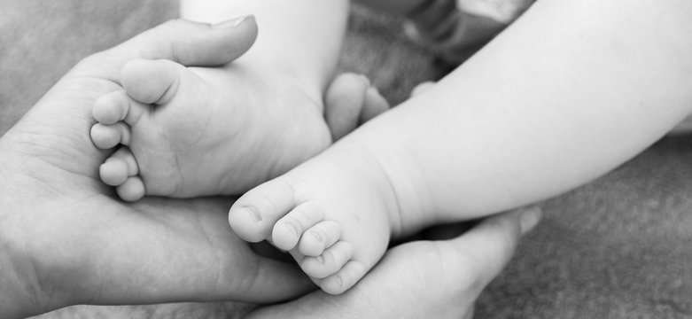 The panorama of baby feet in mother hand. concept of happy family and family support, black and white photo