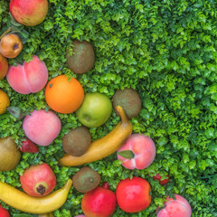 Colorful fruit on green grass, background