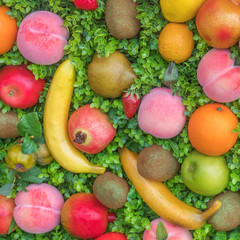 Naklejka na ściany i meble Colorful fruit on green grass, background