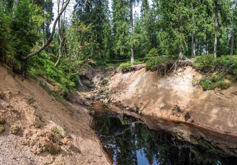 Fototapeta premium The Silberteich lake in Harz, Germany