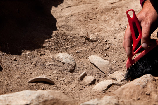 Archaeological tools, Archeaologist working on site, close-up, hand and tool