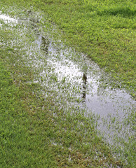 puddle in the green meadow because the soil is too saturated wit
