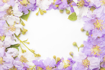 Fototapeta na wymiar Lagerstroemia purple Floral Isolated on white background. Purple flowers border frame.