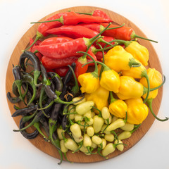 Different type of Chili Peppers