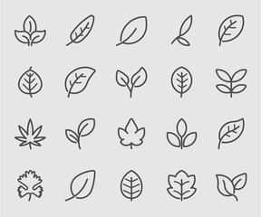 Leaf outline icon