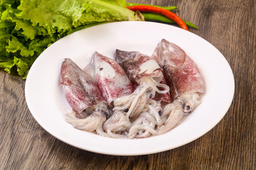 Raw squid