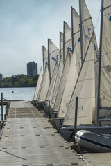 Minneapolis, Minnesota - September 19, 2017: 420 laser sailing boats in Lake Minnetonka in Minneapolis, USA 
