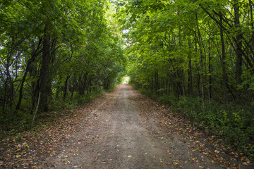 Obraz premium Path to light