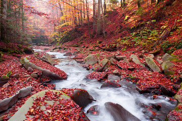 Fototapeta premium Magnificent view of the waterfall in the Autumn Beech Forest in Europe