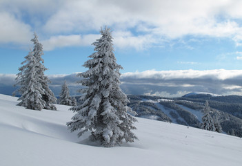 Obraz premium Winterlandschaft