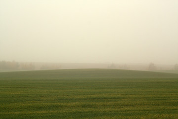 Fototapeta premium Fog and agriculture field in autumn.