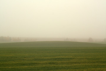 Fog and agriculture field in autumn.