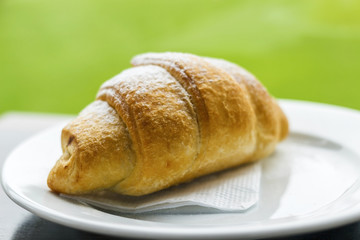 Croissant in a white plate on a green background.