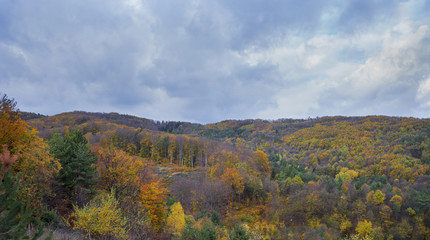 Fototapeta na wymiar Forest in the fall with stormy clouds. Autumn concept