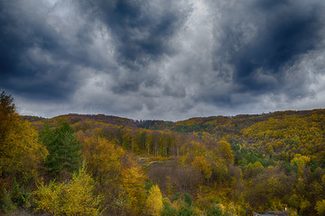 Forest in the fall with stormy clouds. Autumn concept