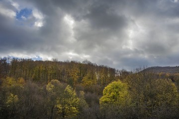 Fototapeta premium Forest in the fall with stormy clouds. Autumn concept