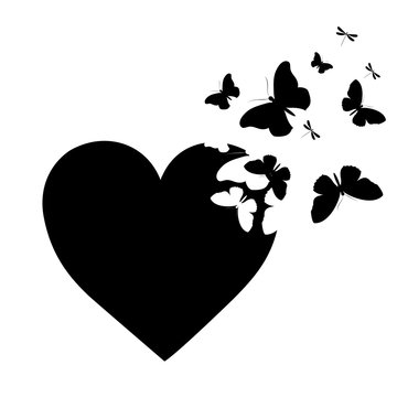 black butterfly,heart  isolated on a white