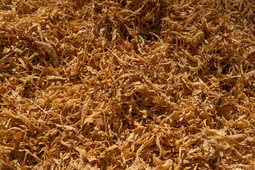 Bed of dried fish