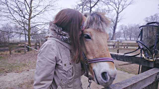 Woman and horse in lovely relationship 4K