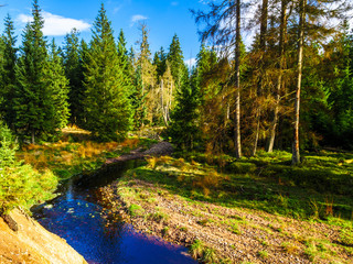 Bergbach am Oderteich