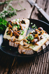 Rustikales Brot, überbacken mit Raclettekäse und Champignons und frischen Kräutern