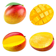 mango fruit isolated