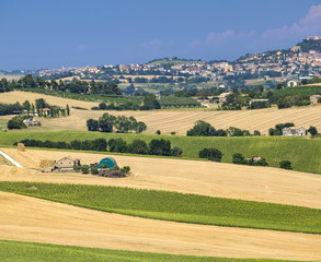 Summer landscape in Marches (Italy) near Montefano