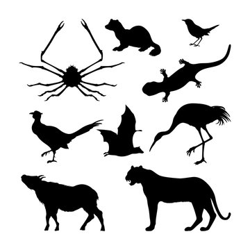 Set of silhouettes of Japanese animals. Black tiger, crane and pheasant on a white background. Vector illustration