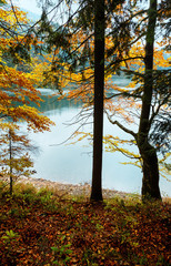 Lake Synevyr autumn view.