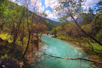 Obraz premium Yuye Lake