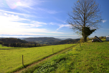 Fototapeta na wymiar Landschaft in Gresgen im Wiesental im Schwarzwald 