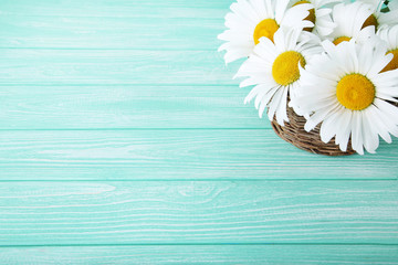 Obraz premium Bouquet of chamomile flowers in basket on mint wooden table