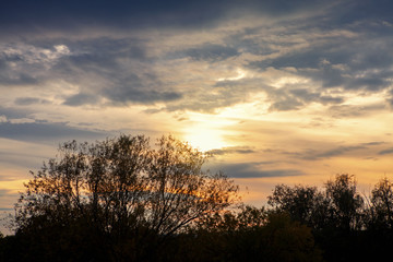 Fototapeta na wymiar autumn beautiful twilight