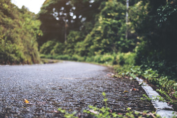 The asphalt concrete road to the nature with tropical forest background