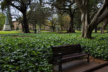 Fototapeta premium Hyde Park in Sydney