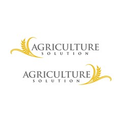 Wheat logo for agriculture industries design template vector 