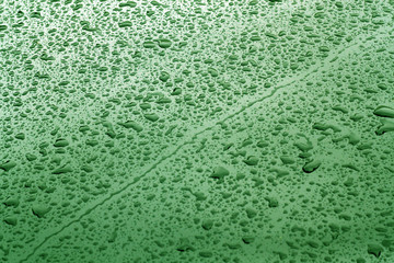 Rain drops on green color metal car surface.