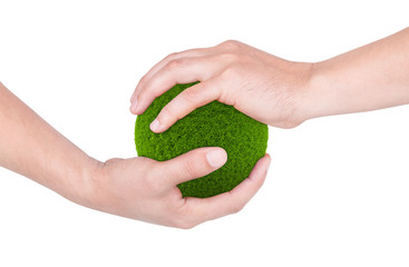 Green ball from grass in the hands. Isolated on white background. 3D illustration.