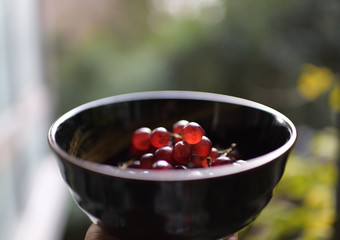 Transparent fresh grapes in bowl.