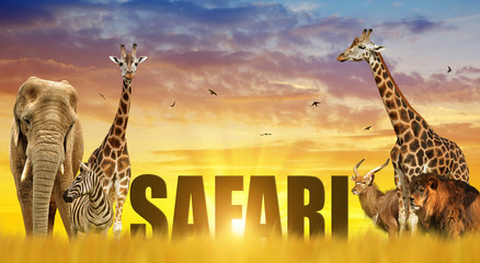 Fototapeta premium Elephant, giraffes, zebra and lion on the savannah at sunset. African safari wildlife animals.