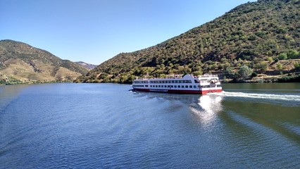 Bot in Douro River