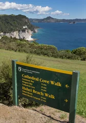 Outdoor-Kissen Cathedral Cove Coromendal New Zealand © A