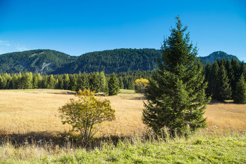 Montagne en automne