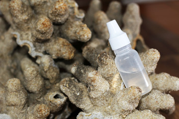 salt for washing the nose
