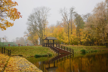Fototapeta na wymiar Autumn landscape with lake. Autumn October morning on the lake